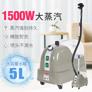 Industrial and Commercial High-Power Handheld Vertical Hanging Iron Ironing Machine for Ironing Clothes Steam Hanging Ironing Machine for Clothing Stores