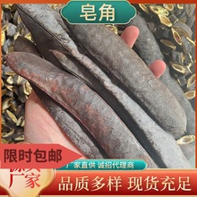 大皂角中药材皂角洗发水猪牙皂批发散装小皂角荚皂角粉洗手