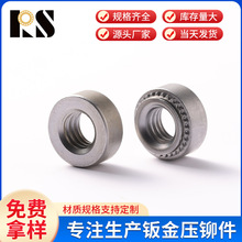 ����CLS-M2 CLS-M2-2���P䓉��T��ĸ ���P�F���T��ĸ������