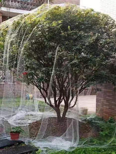 ������B�W���Ҙ������߲˷��o�������W�W�ֹ��ӷ��B�W��