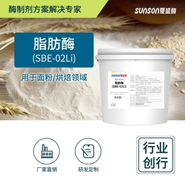 酶制剂;其他饲料添加;造纸化学品