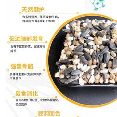 Parrot bird food medium and large mixed grain shelled cereal peony black phoenix wax beak copper beak pigeon pet bird food