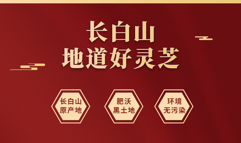 Northeast Reishi Mushroom Gift Box Dried Lingzhi Slices for Tea and Wine Soaking 200g quality and texture