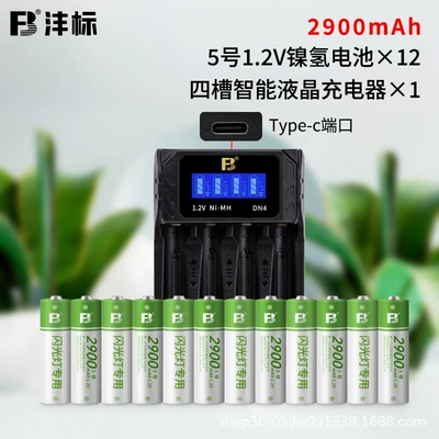 Fengbiao Rechargeable Aa Hibrid akkumulyator batareyaları - no-5-12-sections-4-slots-lcd-fast-charge-dn4