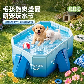 游泳圈;其他充气玩具;游泳池