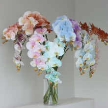 9�^�zƬ�ָк����m���滨�ٻ� �������ò���������DIY��c�û�