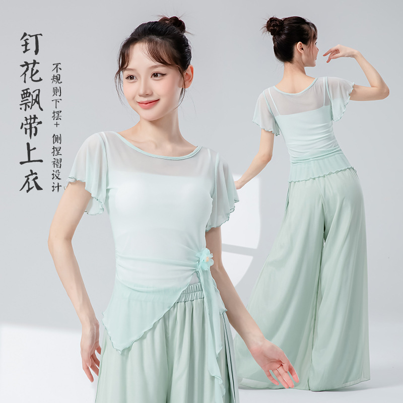 古典舞蹈服女新款钉花飘带修身短袖网纱花朵上衣飘逸演出练功服装|undefined