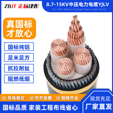 YJLV�����Xо������ϩ�^�����l�Љ�ݔ�����|8.7/15KV�����|