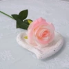 Semi -white and half powder ~