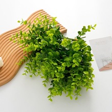 ��˹�������~�ȼ����G�}�~����ֲ���c�b��滨ֲ��Gֲ