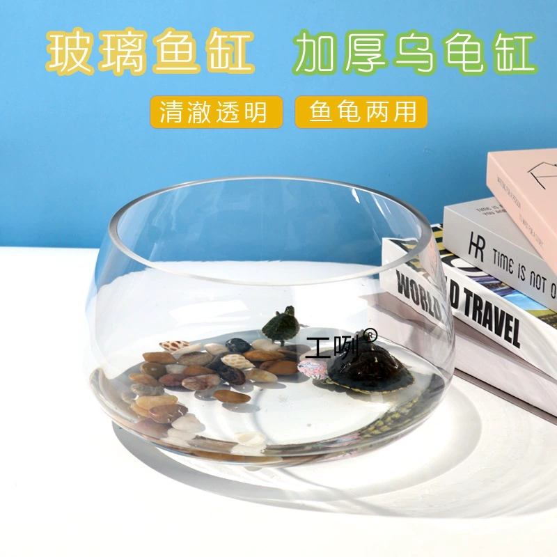 Круглый стеклянный аквариум для золотых рыбок, настольный, для гостиной, гидропонный, домашний, небольшой, прозрачный, миниатюрный, для ландшафтного дизайна, аквариум для черепах