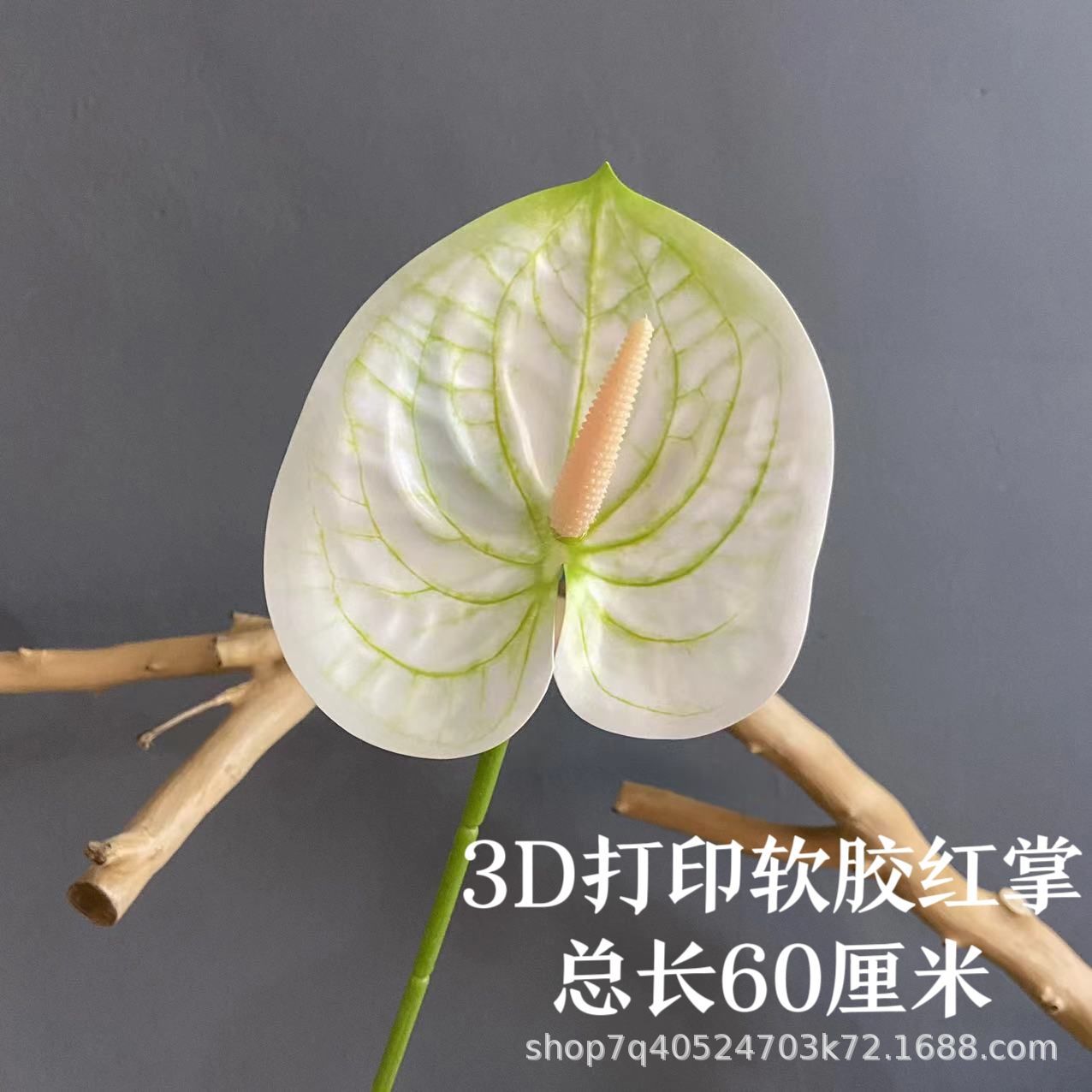 색상 2호