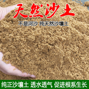 ��@��ɳ����ɳ����Ȼ�����B�������Nֲ���N������ֲ�ﻨ����