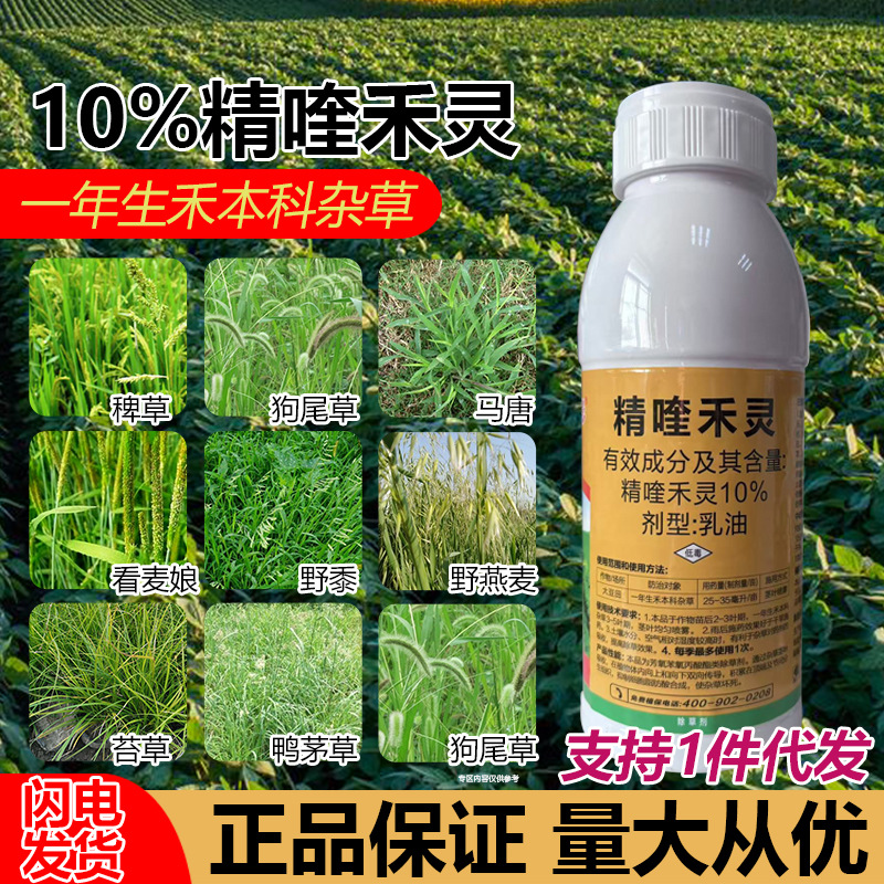 精喹禾灵大豆田除草烂根剂一年生禾本科杂草牛筋草狗尾草除草农药