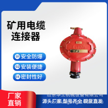 LBG6-400/10矿用电缆连接器 高压 低压 煤矿使用 性能稳定
