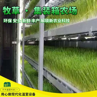 牧草集装箱种植箱定制四季无土栽培智能种植集装箱水培牧草设备