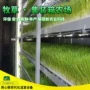 定制四季种植水培种植箱
