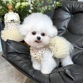 薄款透气宠物衣服碎花飞袖公主裙小狗狗猫咪夏日薄款防晒裙子可爱