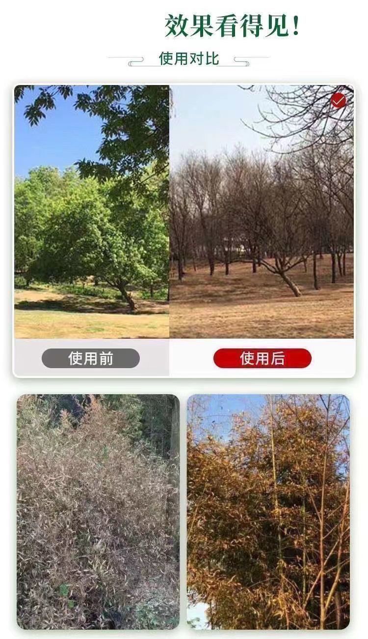 d9536d12-3cbb-4502-b2f9-ba8914fa0d2b.jpe