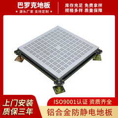 バロックアルミニウムコンピュータルーム換気空中帯電防止床カスタマイズされた 500*500 アルミニウム合金帯電防止床