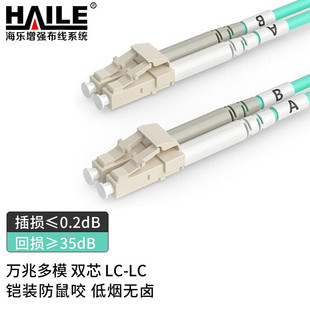 Armored anti-mouse bite fiber jumper telecom-grade 10 trillion multimode dual-core pigtail LC-LC 50/125 OM3 fiber jumper
