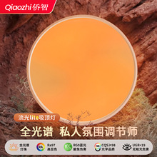 2025新款全光谱淡彩多彩色LED天境客厅吸顶灯卧室晴空灯中山灯具