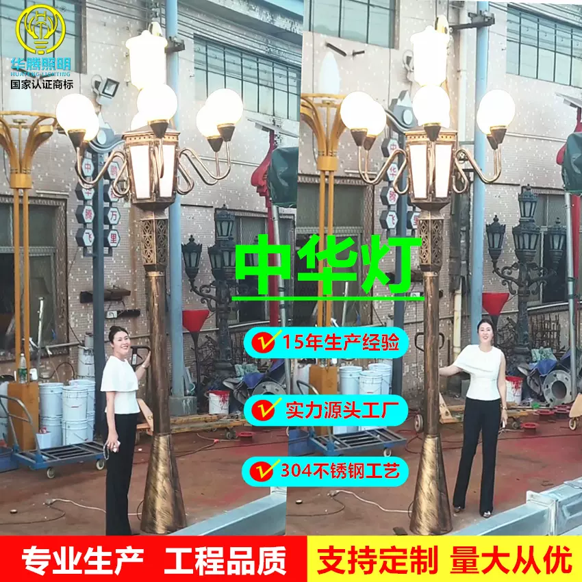 市政工程中华灯路灯LED道路照明景区玉兰灯6~15米道路照明路灯