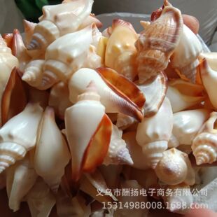 ��Ȼؐ������ �ľ�з�Q�� �~������b� �ֹ�diy���� С����ؐ��