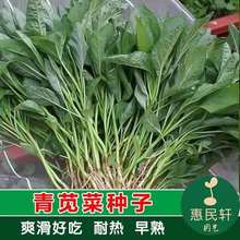 ~{˷N{˴ﲥN̨혻偸߮a߲˷N