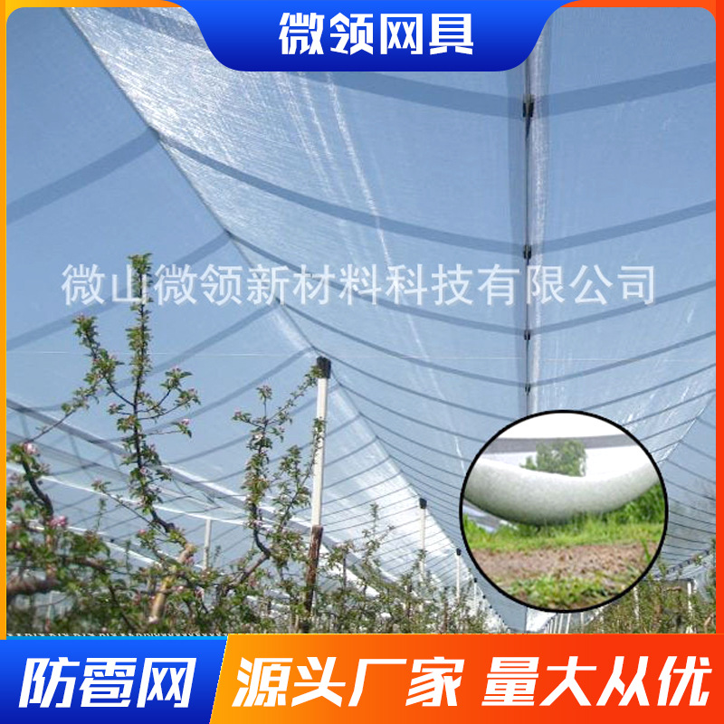防雹网厂家 塑料平网0.6cm0.8cm1.0cm聚乙烯UV白色防冰雹网