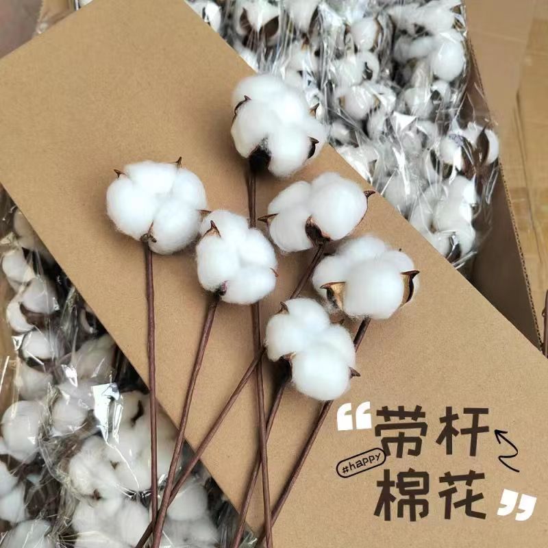 Simulación de flores secas de algodón buquete de flores inmortales de Navidad decoración de flores falsas de algodón props de disparo