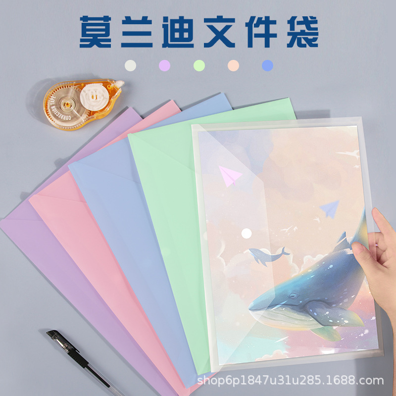 A4 File Bag Snaps Bag Office File Bag Transparent Multicolor Morandi File Material Student Test Paper Storage Bag