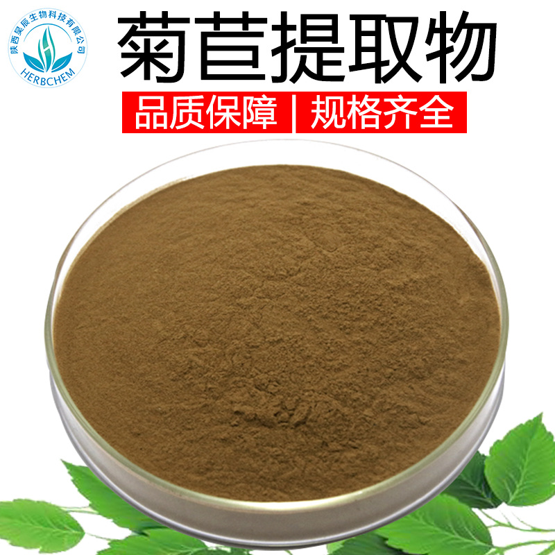 菊苣提取物30:1 源头工厂现货供应 固体饮料食品保健原料 菊苣粉