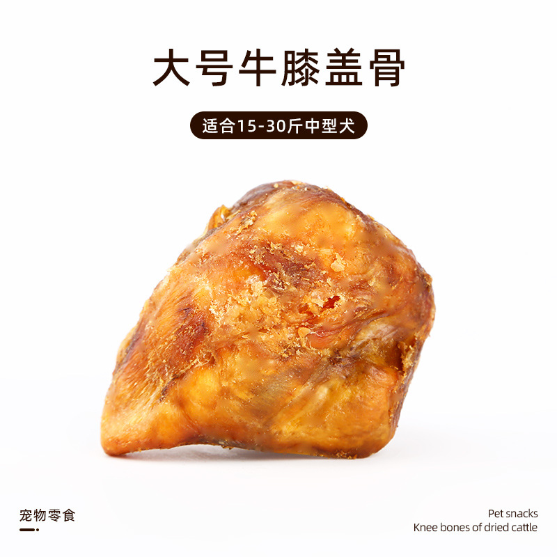 소 슬개골【L】