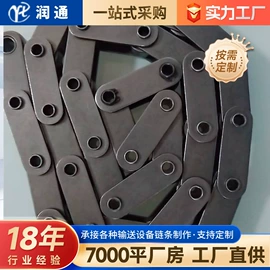 传动链;输送机;网带