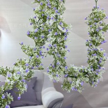 �羳����ѷ������������������滨�Ӽ�װ�����������������