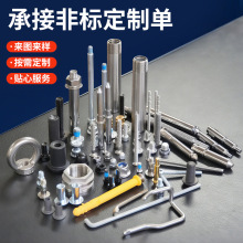 �ǘ��ݽz�ӹ�304���P䓮��������~������ĸ����܇������������