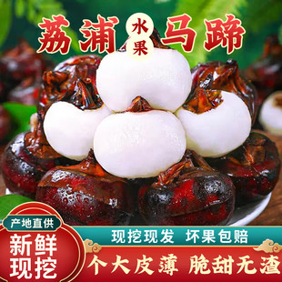 �������֭��ˮ���߲����r�R�� ���l�r �ش��֭����ˮ���r���֭