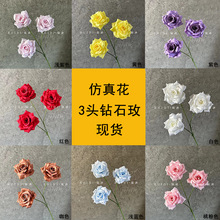 ����õ�廨3�^�ʯõ�o�~��Y�Ƶ�Ҿ��b��쾰����·�����l�羳