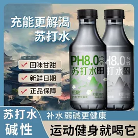 调味酱;其他调味品;传统糕点