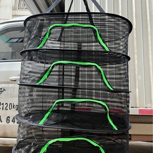 ��ɫ����W��˕��~���؛�ۯB��ɻ\���}���������֌�ʳ������@