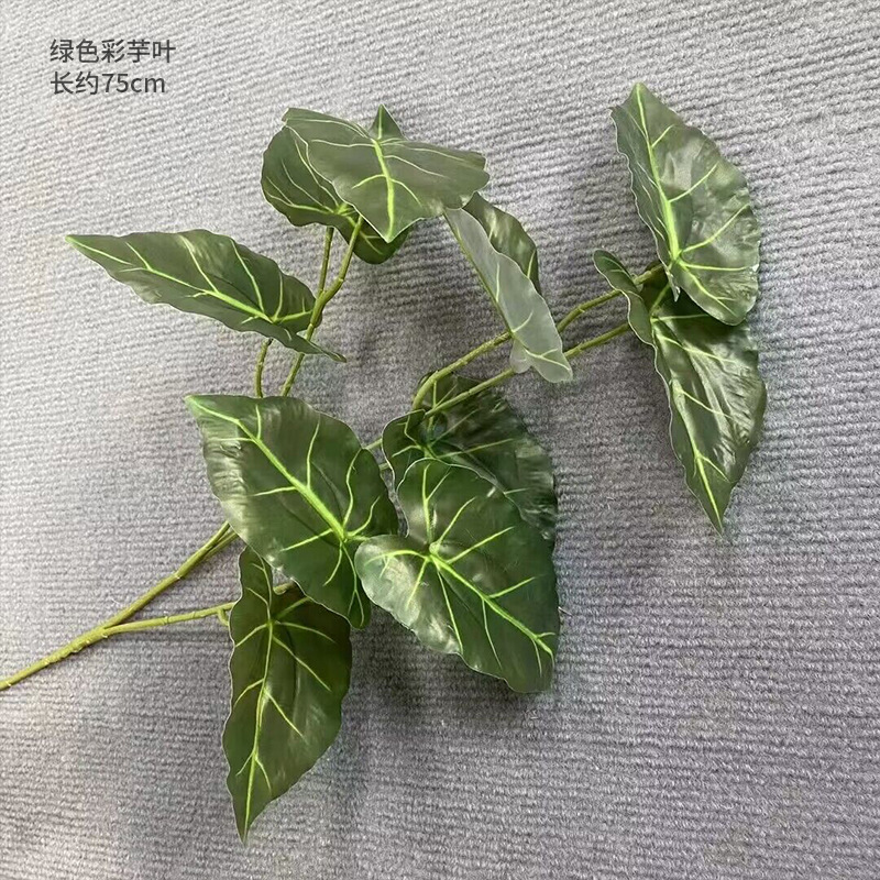 Una hoja de taro verde