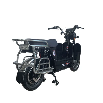 Long-Distance Delivery King, Wholesale, Elektrikli motosikletlər