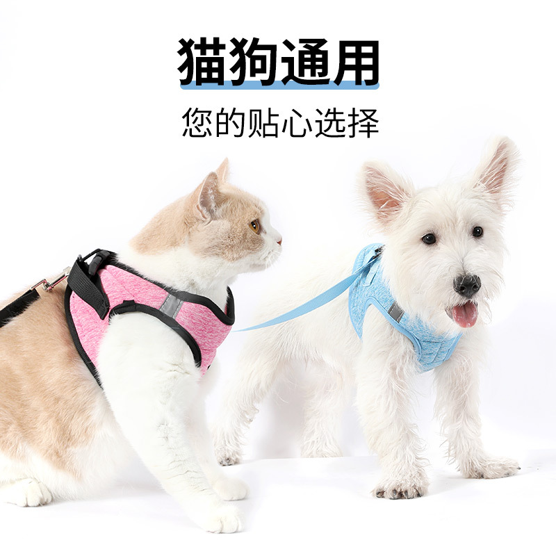 Armadura de perro chaleco correa de pecho gato pequeño perro caminando perro cuerda