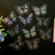 Cross-border Hot Shell Light Hollow Butterfly Self-adhesive Wall Stickers Holiday Living Room Decorative Creative Colorful Laser Wallpaper