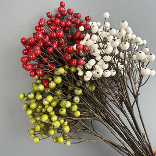 �����¼���С�׹��Ҿ��bzӰ����õ��{����Y����ܛ�b��ˇ