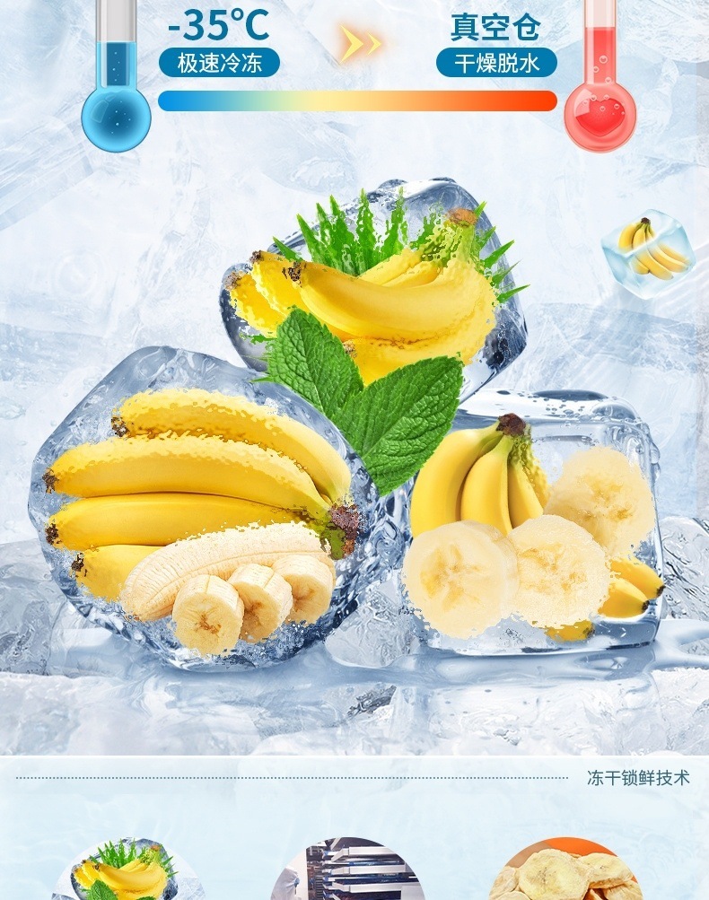 Freeze Dried Banana Slices Original Flavor Crispy Fruit Snack No Added Sugar Non Fried Bulk 250g 4 Jars quality and texture