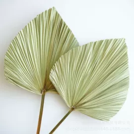 干花;永生花;林业副产品