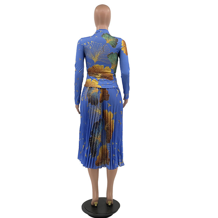 Damenbekleidung Mode Damenbekleidung Herbst und Winter neue Mode bedruckter plissierter Rockanzug mit hoher Taille_voghion.com
