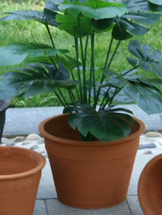 �t�պ��s������ʽ�������ڏ��辰�Gֲ����͸���ֹ����G�V�ư��]